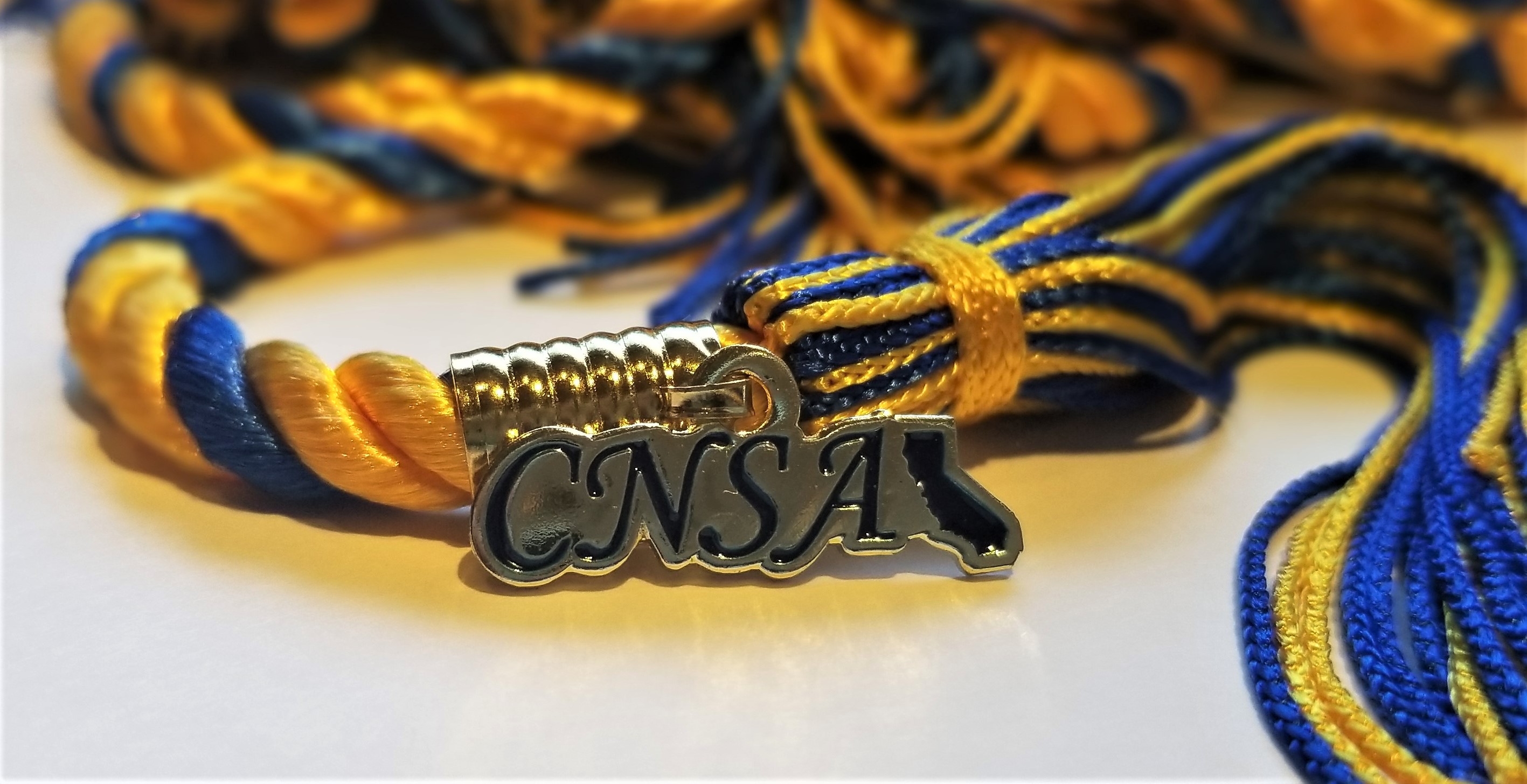 Graduation Cords/Pins